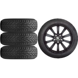 NOWE KOŁA ZIMA Skoda Scala (NW) Riken 205/50R17*8