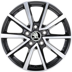NOWE KOŁA ZIMA Skoda SuperB (3T) Riken 215/55R17*12