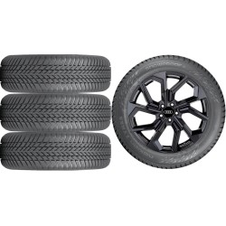 NOWE KOŁA ZIMA AUDI A6 F2 Nokian 255/40R20
