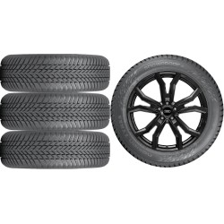 NOWE KOŁA ZIMA Audi Q5 (FY) Nokian 255/45R20*2