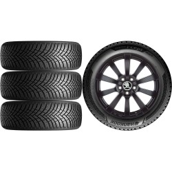 NOWE KOŁA ZIMA Skoda KamiQ (NW) Hankook 205/50R17*5