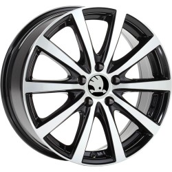 NOWE KOŁA ZIMA Skoda SuperB (3T) Riken 215/55R17*5
