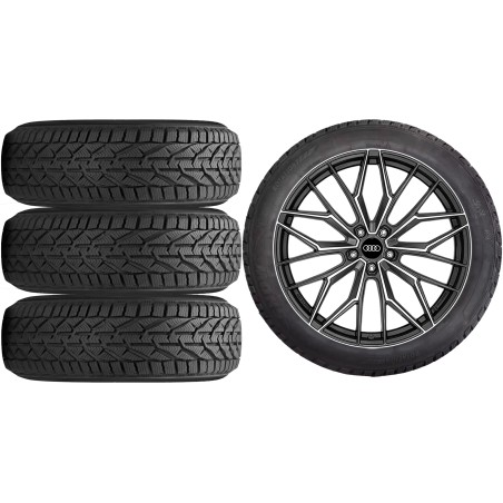 NOWE KOŁA ZIMA Audi Q5 (FY) Riken 235/55R19*19