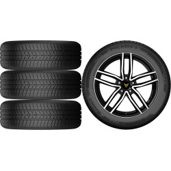 NOWE KOŁA ZIMA Cupra Leon SP Barum 225/40R18*7