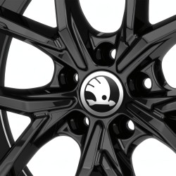 NOWE KOŁA LATO Skoda Octavia 2 II 1Z Riken 225/40R18